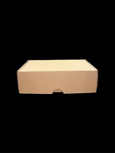 Caja Master – Microcorrugado premium 35×23×10 cm